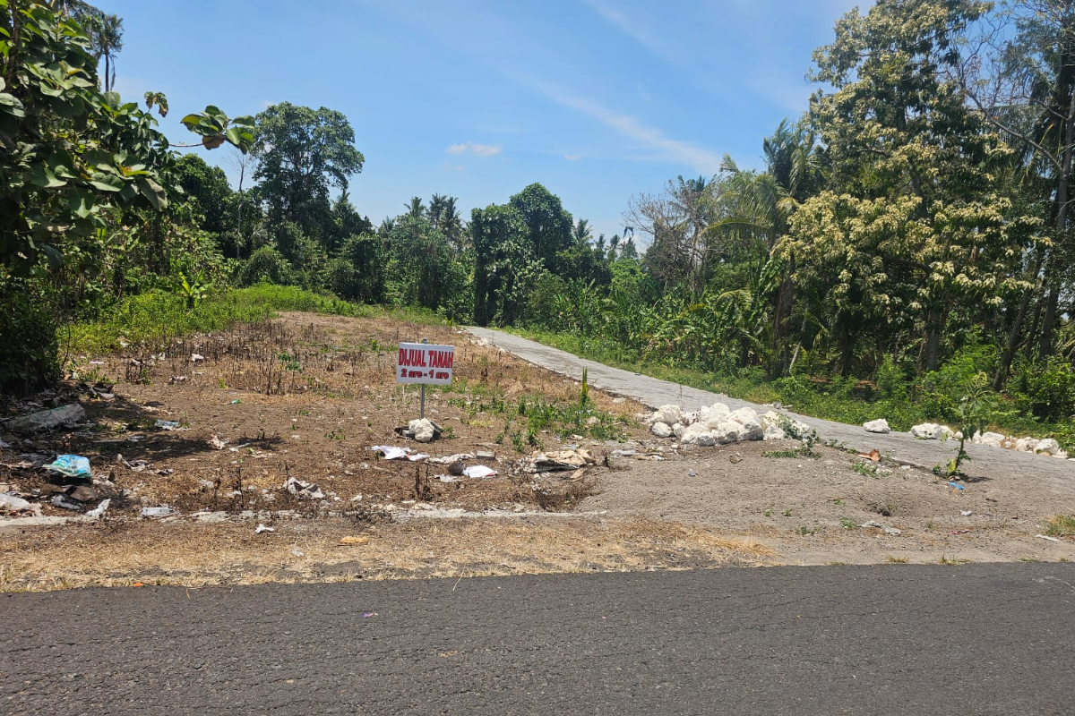 Tanah Bongan Kauh Tabana Luas 2 Are