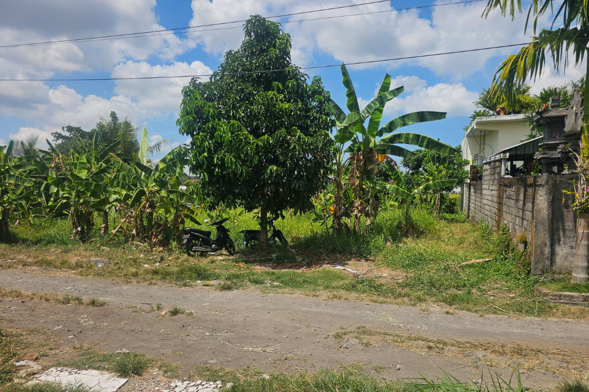 Dijual Tanah Luas 4 Are
